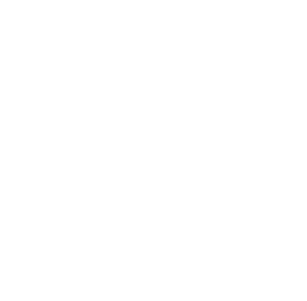 AS Detailing logo